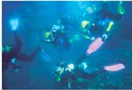 DALIŞ TURU FETHİYE