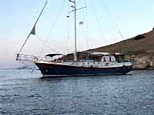 SU PERİSİ C Bodrum GULET